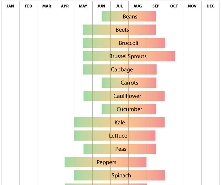 when to plant peas in wisconsin