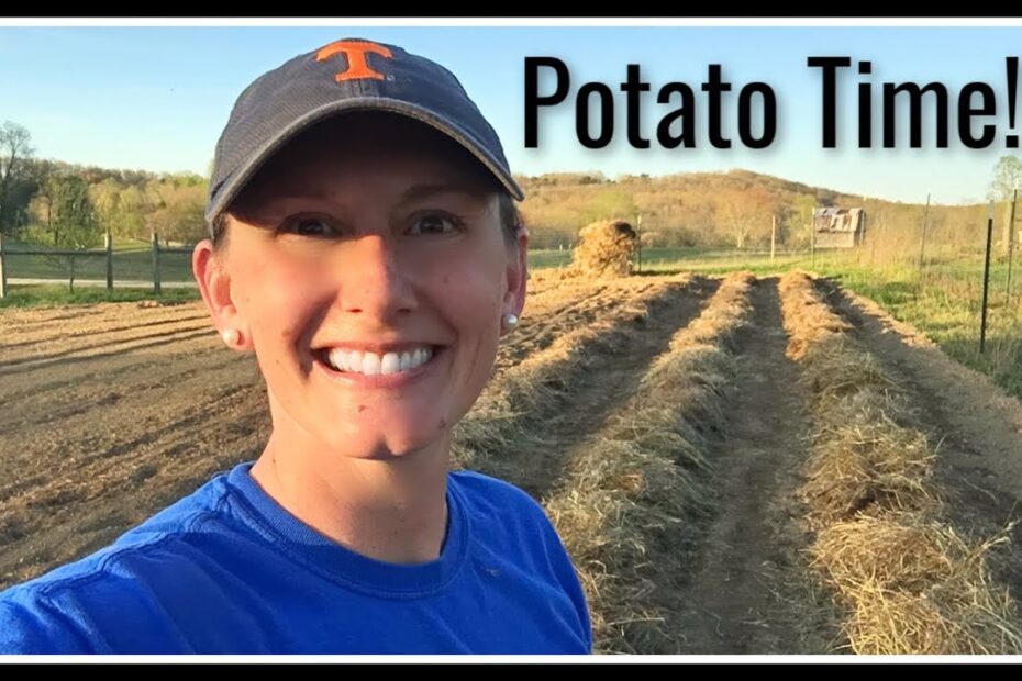 when to plant potatoes in east tennessee