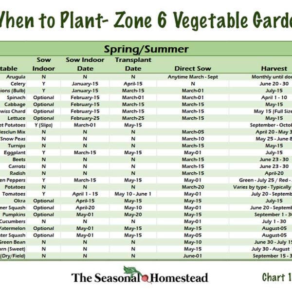 when to plant potatoes in zone 6a