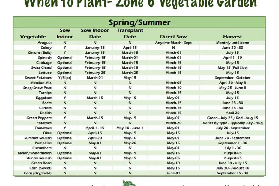 growing-seed-potatoes-how-to-plant-seed-potatoes