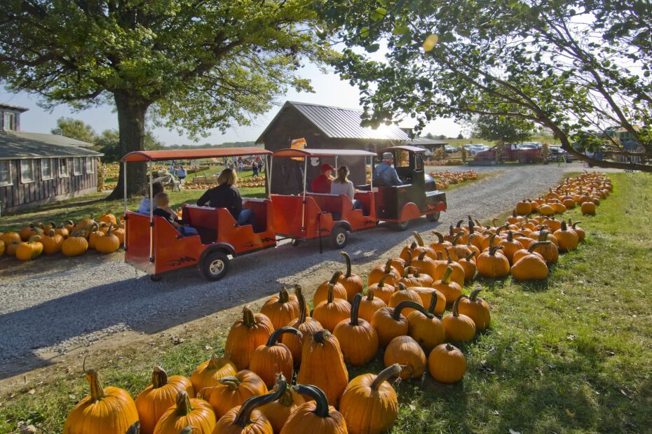 when to plant pumpkins in nebraska