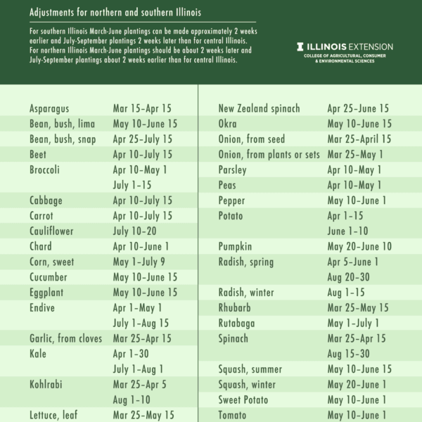 when to plant tomatoes in illinois