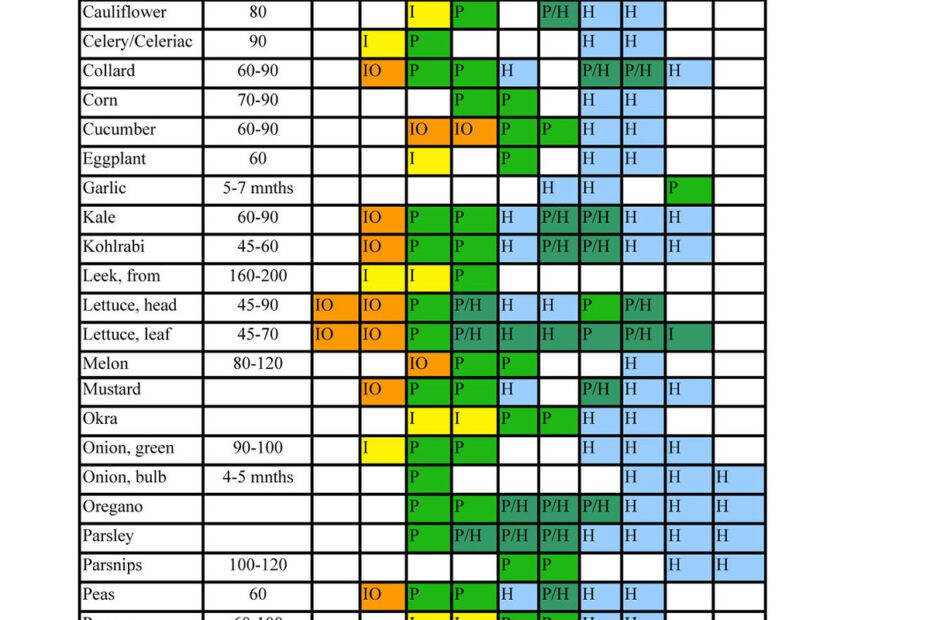 When to Plant Tomatoes in Rhode Island