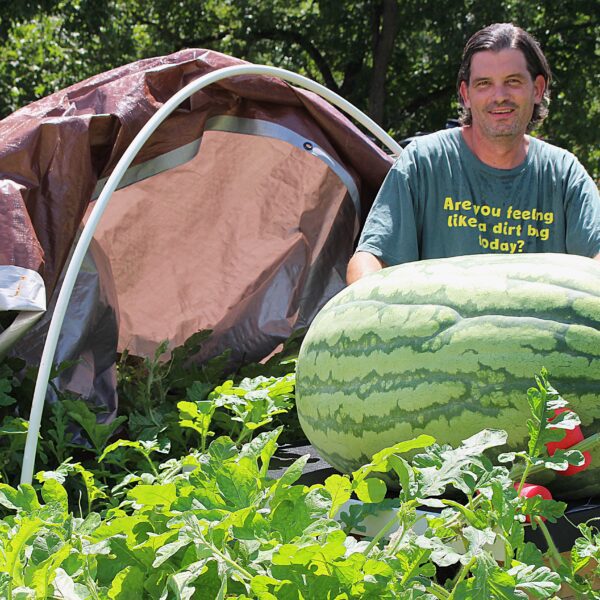 when to plant watermelon in nc scaled