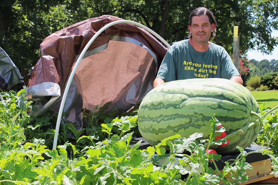 when to plant watermelon in nc scaled