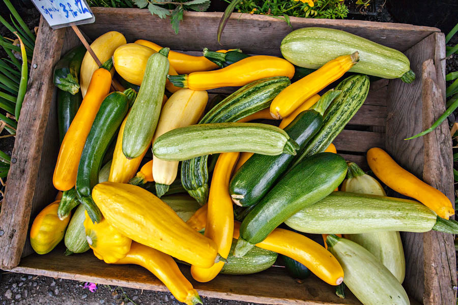 When to Plant Zucchini in California