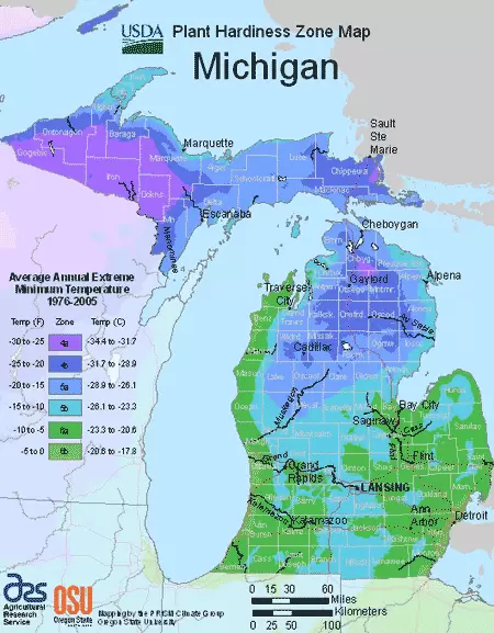 When to Put Grass Seed Down in Michigan