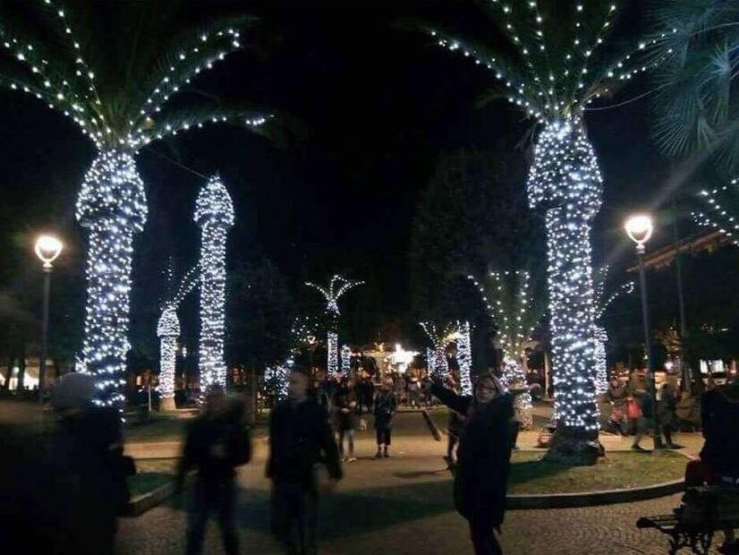 why dont you put christmas lights on palm trees