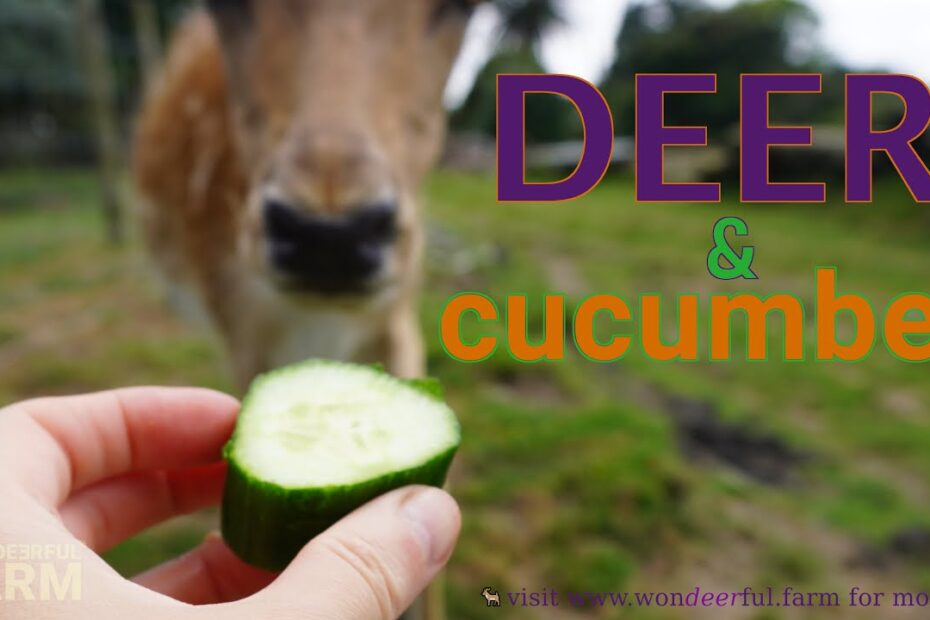 Will Deer Eat Cucumber Plants