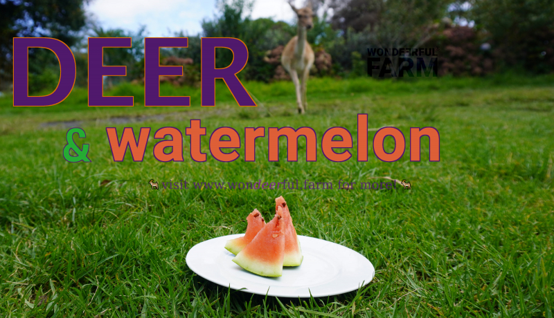 will deer eat watermelon plants