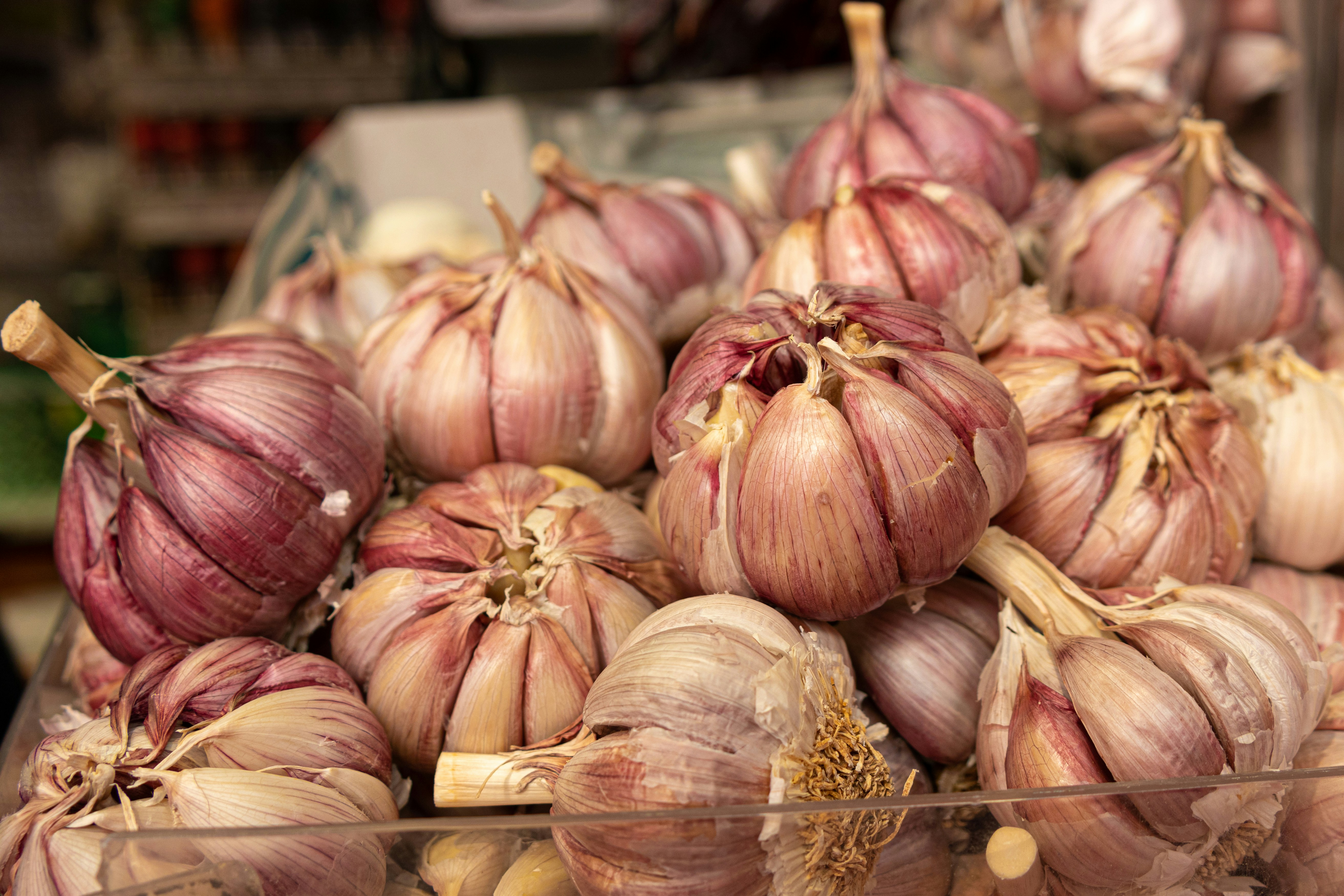 Selecting the Right Varieties: Understanding Which Garlic Types Thrive in the Colorado Climate