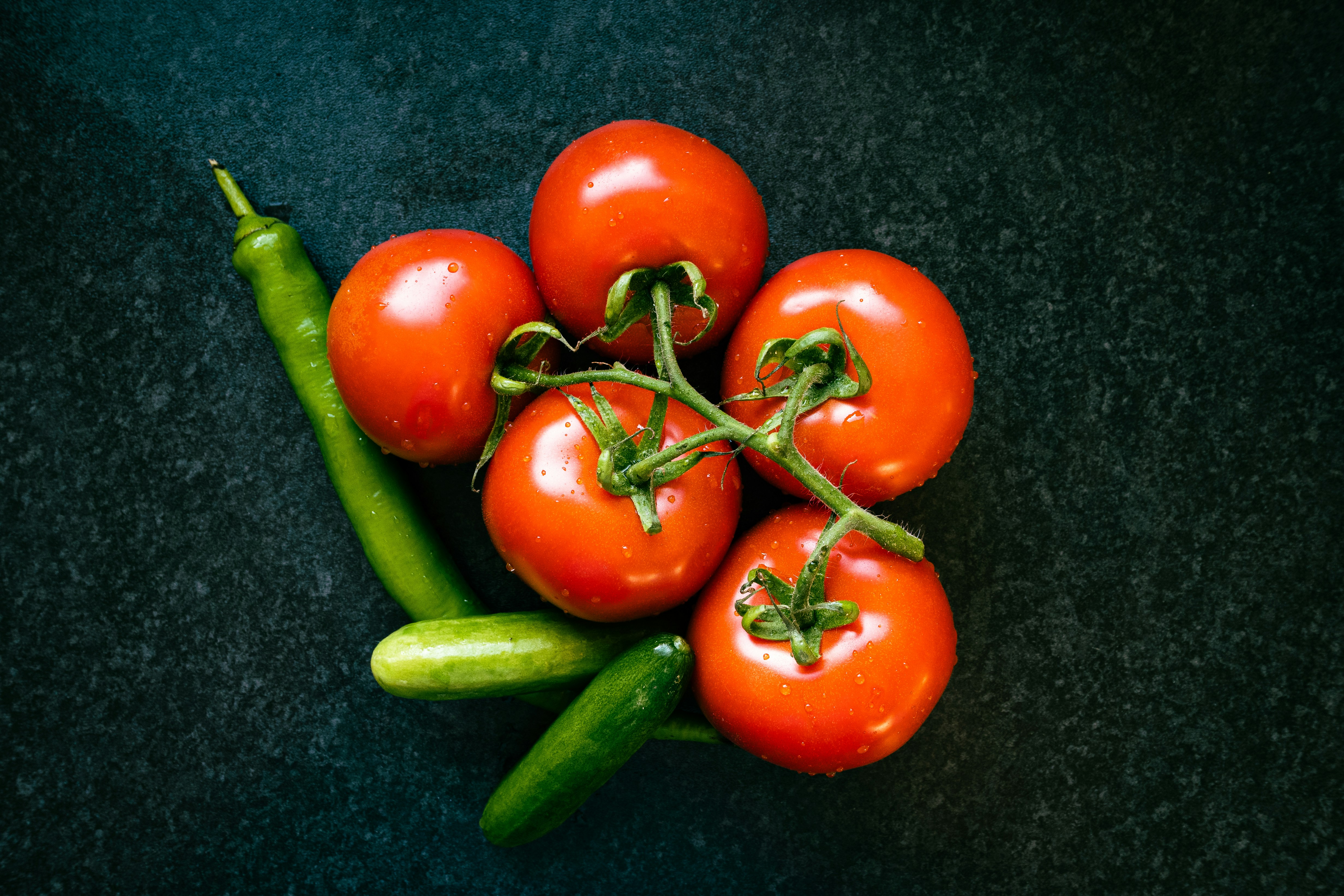 Best Time to Plant Cucumbers in Iowa for Optimal Growth