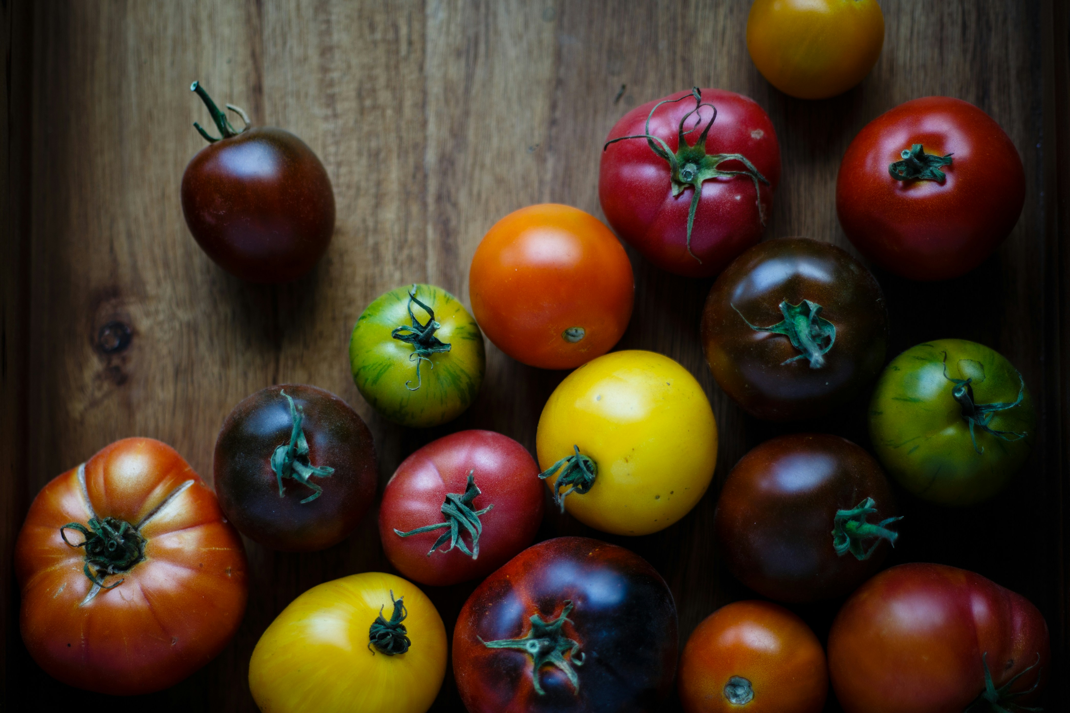 Best Time to Plant Tomato Seedlings in Wisconsin