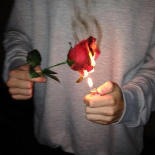 What Does a Burning Rose Mean