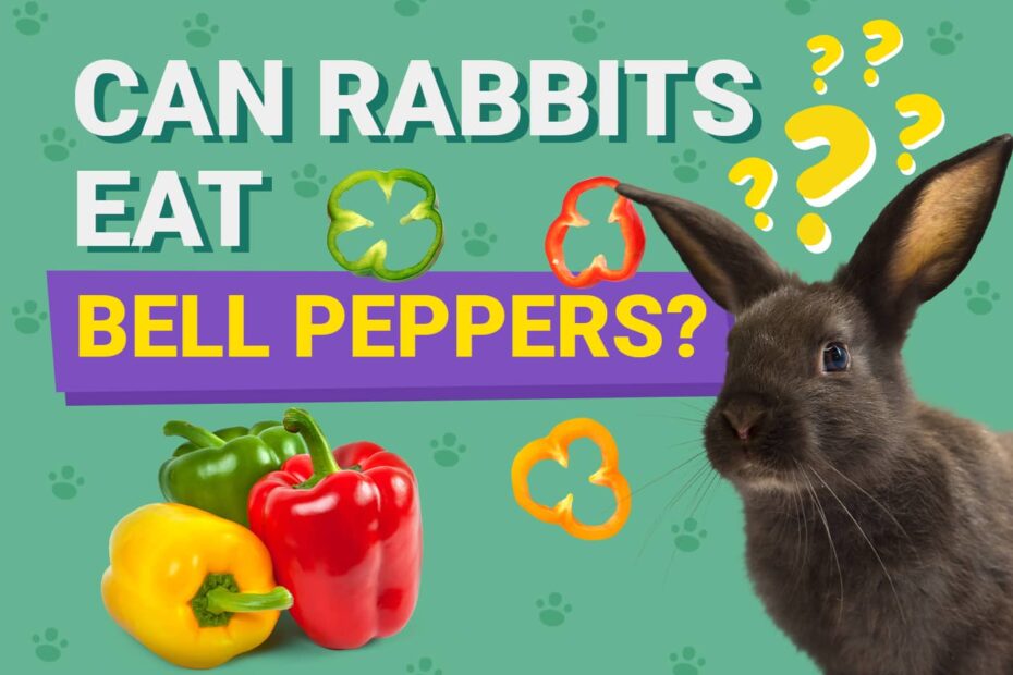 Can Rabbits Eat Bell Pepper Seeds