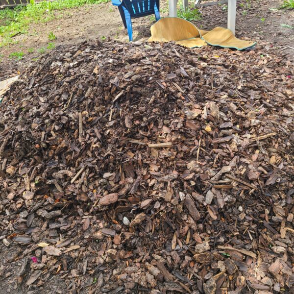 Does Mulch Have Poop in it