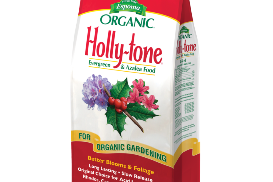 Can You Use Holly Tone on Roses