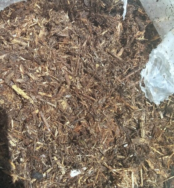 Does Bagged Mulch Go Bad