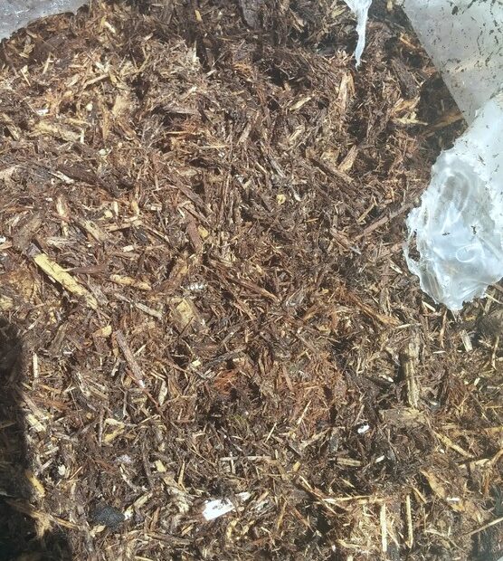 Does Bagged Mulch Go Bad