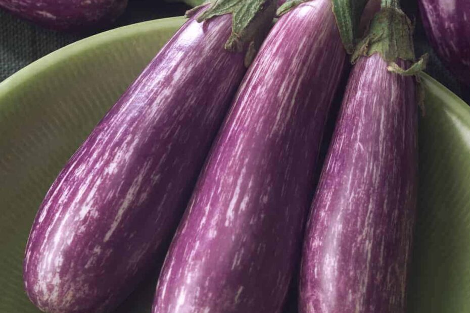 How Big Do Fairy Tale Eggplant Get