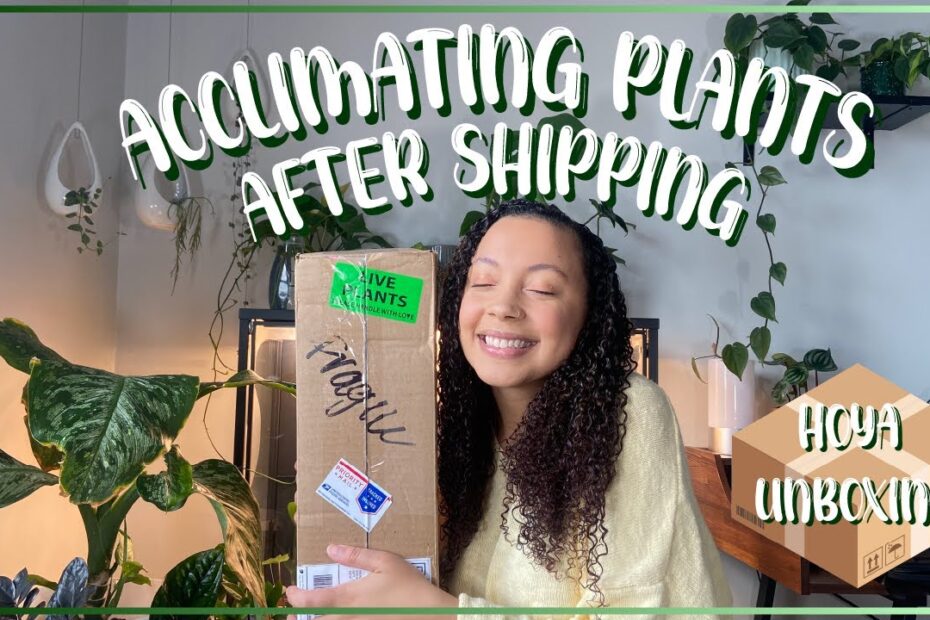 How to Acclimate Plants After Shipping