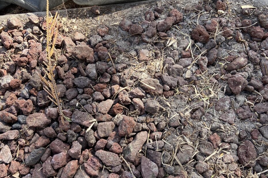 How to Clean Lava Rock Landscaping