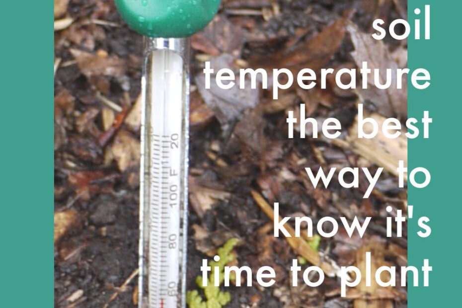 How to Determine Soil Temperature Without Thermometer