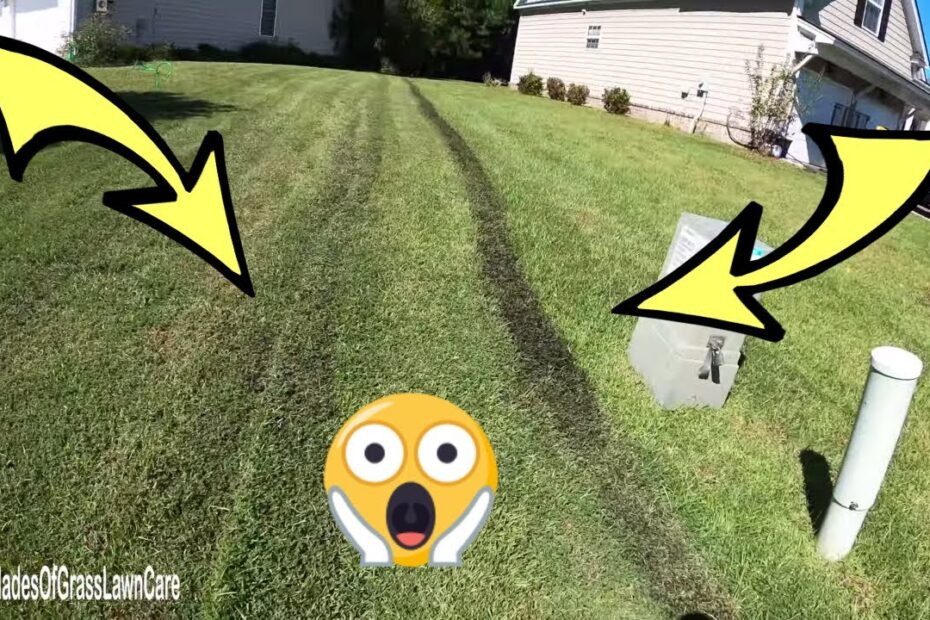 How to Fix Tire Tracks in Lawn