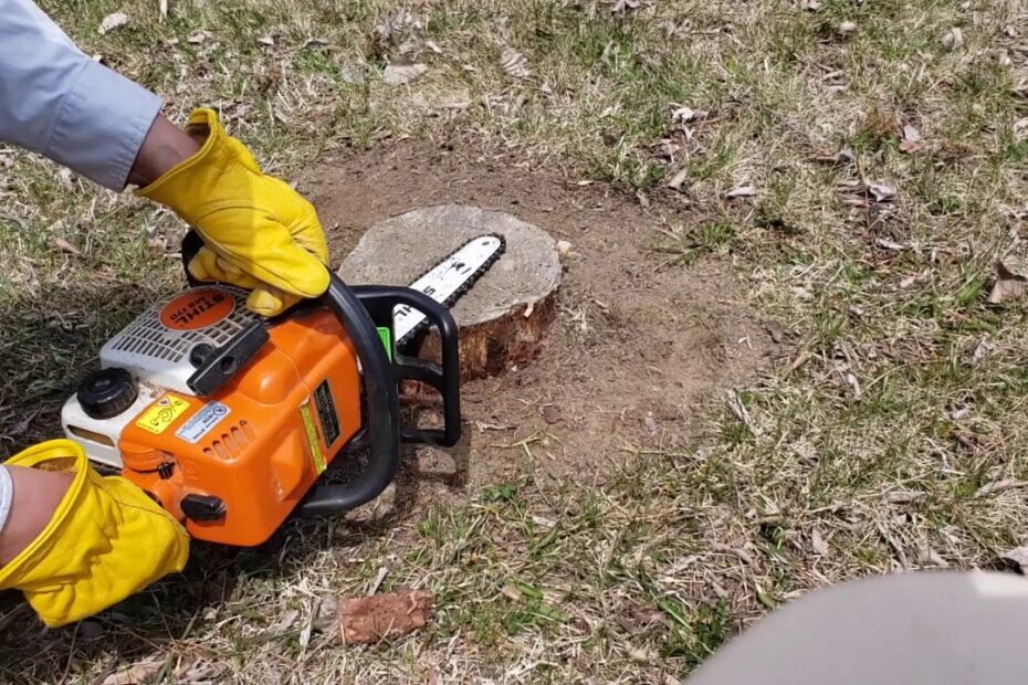 How to Grind a Tree Stump with a Chainsaw