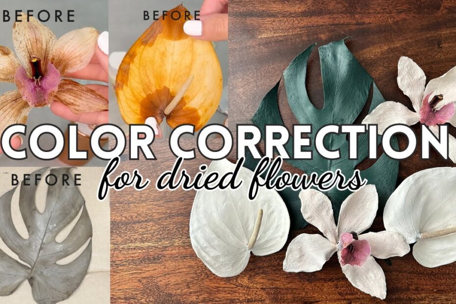 How to Restore Color to Dried Flowers