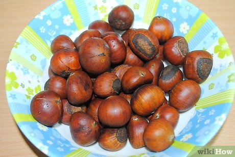 How to Store Chestnuts for Planting