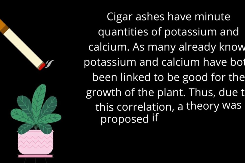 Is Cigar Ash Good for Plants