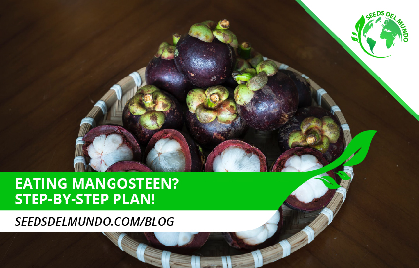 Is Mangosteen Seed Edible