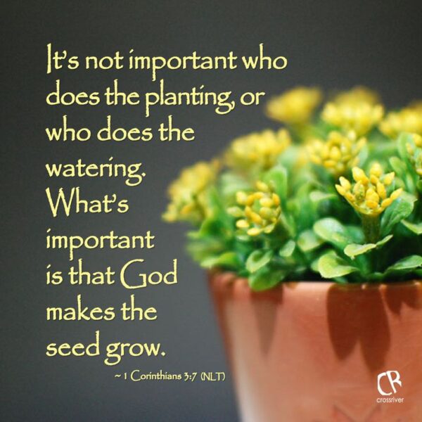 What Does the Bible Say About Gardening