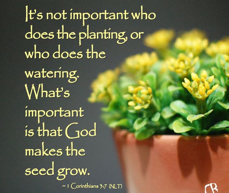 What Does the Bible Say About Gardening