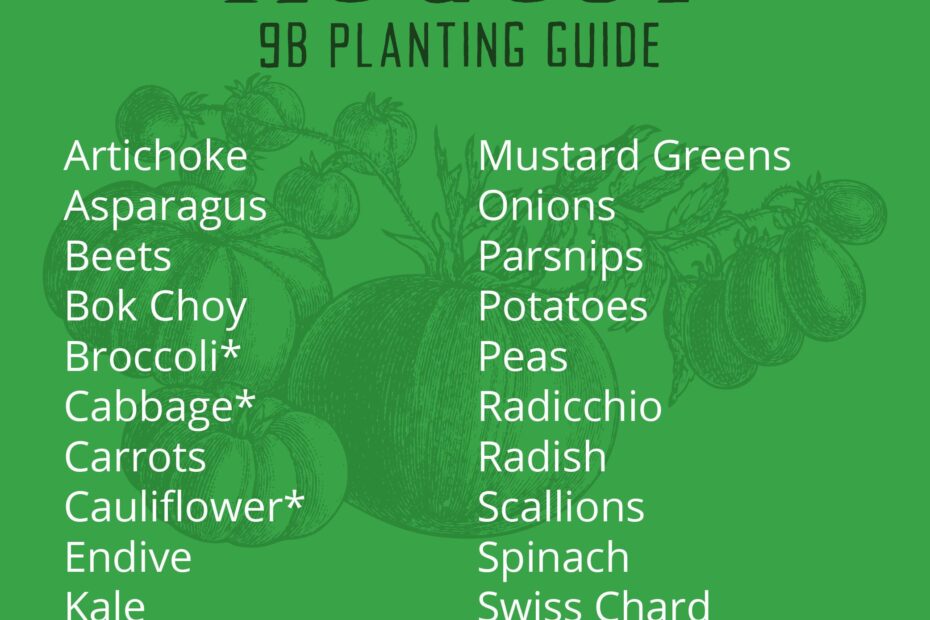 What to Plant in August Zone 9b