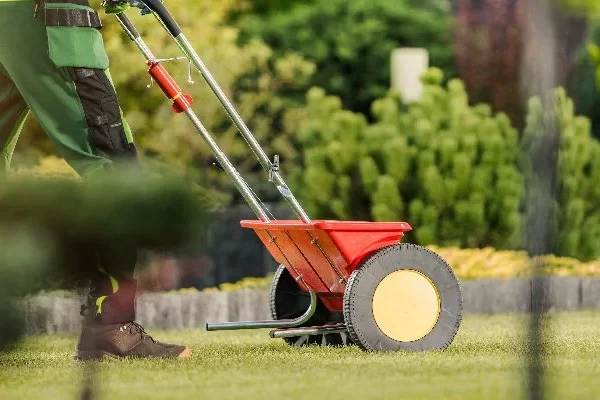 When to Fertilize Lawn in Iowa