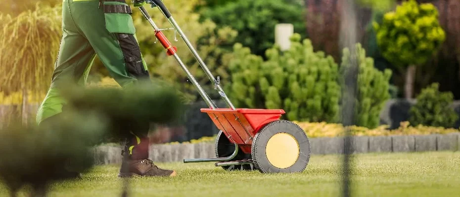 When to Fertilize Lawn in Iowa