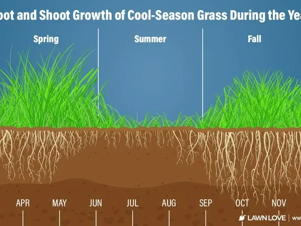 When to Fertilize Lawn in Michigan