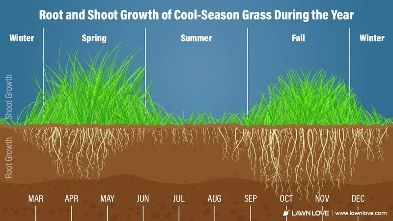 When to Overseed in Massachusetts