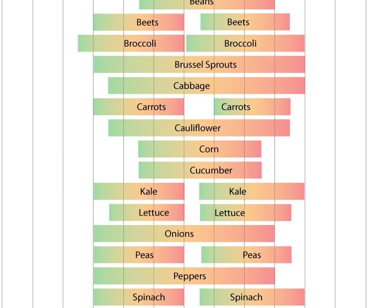 When to Plant Carrots in Ohio