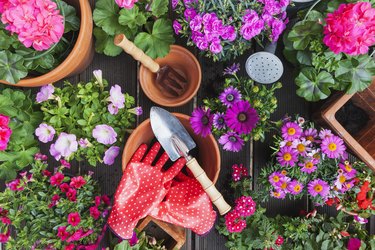 When to Plant Flowers in Indiana