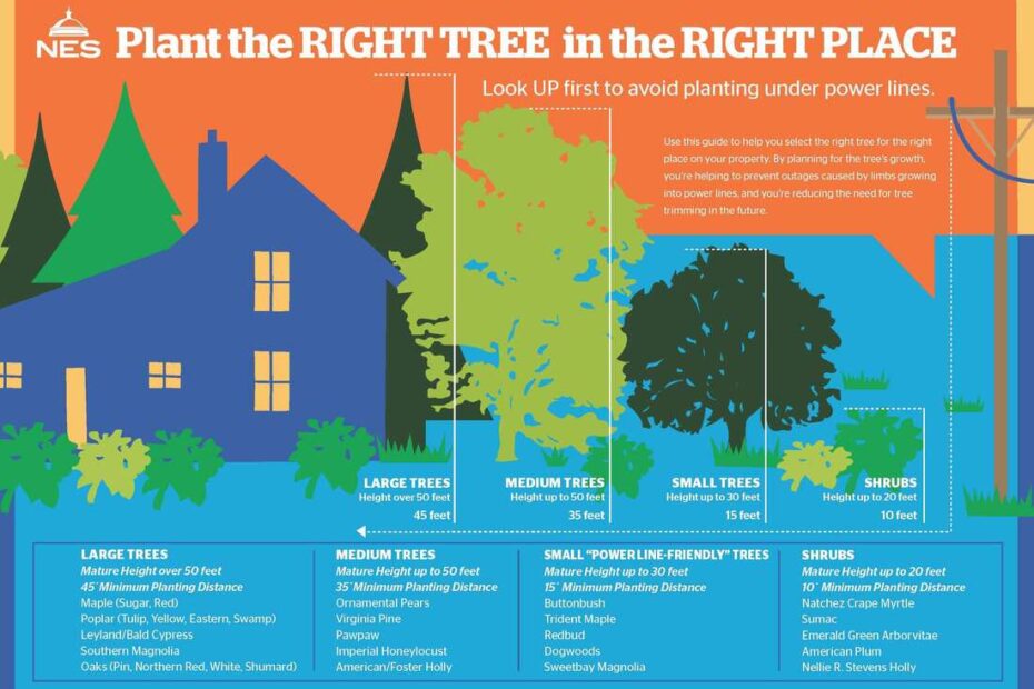 When to Plant Trees in Tennessee