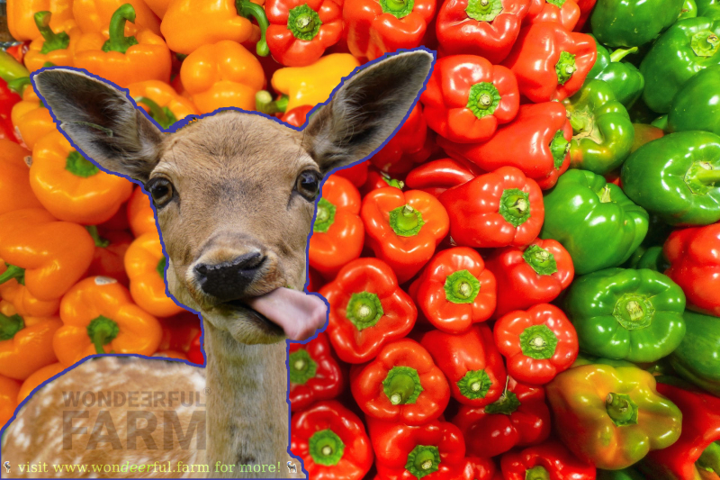 Will Deer Eat Hot Pepper Plants