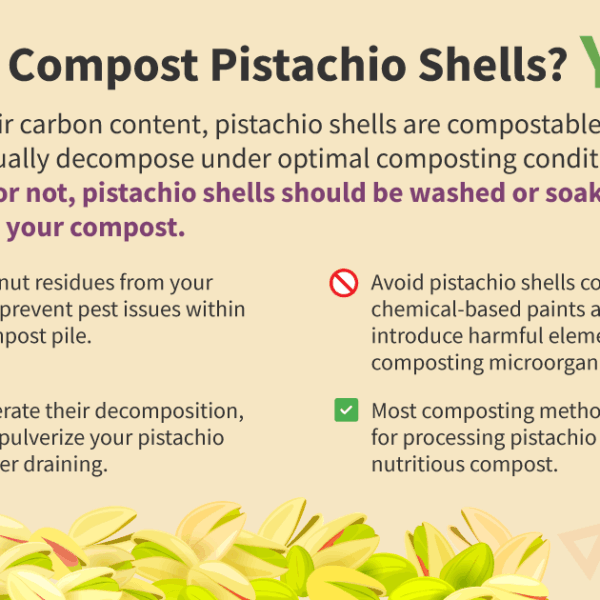 Can I Compost Pistachio Shells