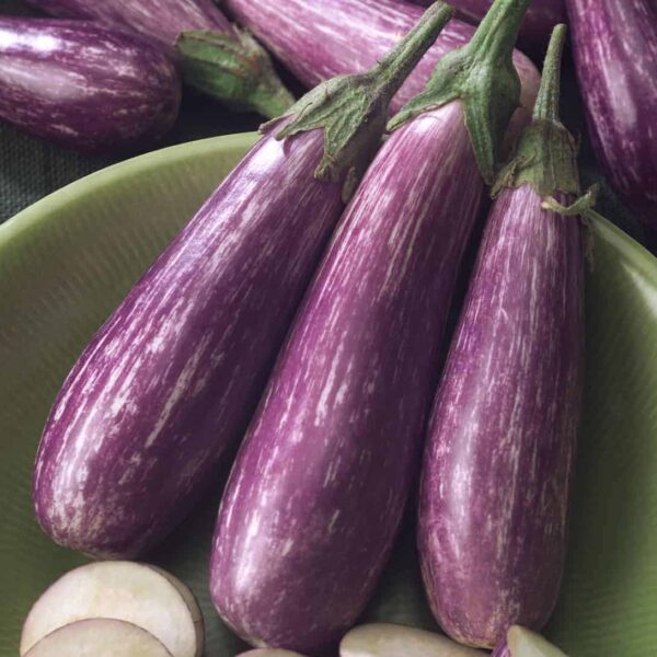 How Big Do Fairy Tale Eggplant Get