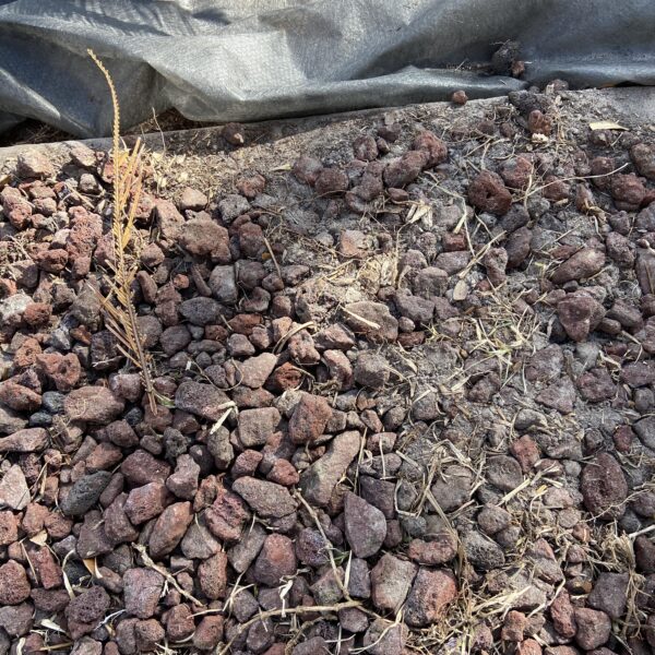 How to Clean Lava Rock Landscaping