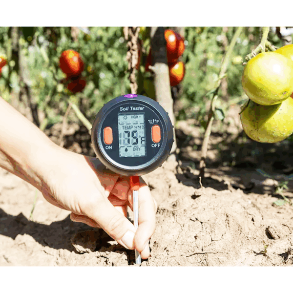 How to Determine Soil Temperature Without Thermometer