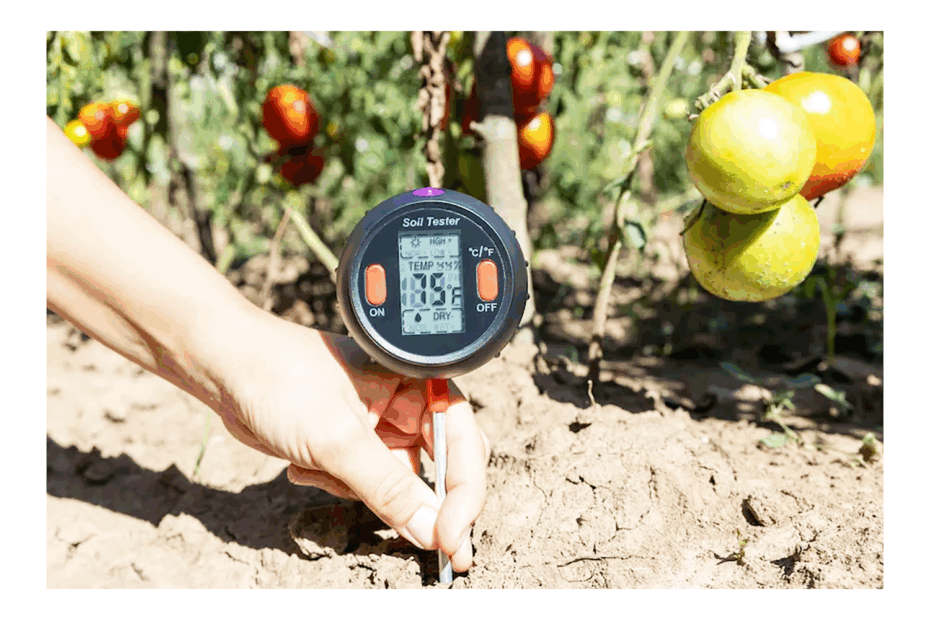 How to Determine Soil Temperature Without Thermometer