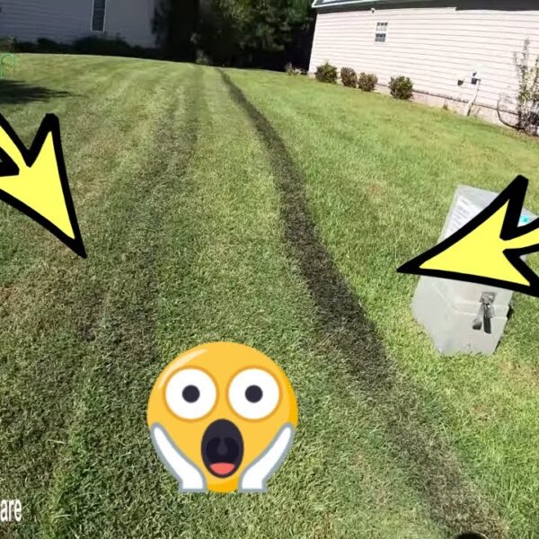 How to Fix Tire Tracks in Lawn
